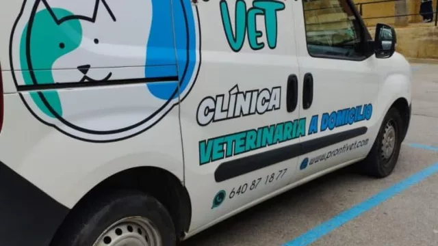 Prontivet impulsa el servicio de ambulancia veterinaria 24 horas en Barcelona y Girona