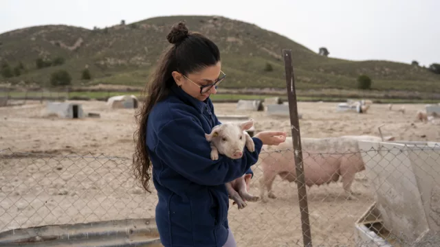 Zoetis lanza "Referentes Invisibles" como parte de Ganadería en Femenino 