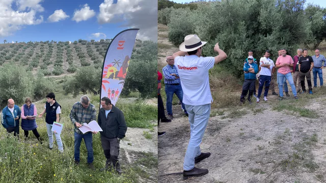 VivaOliva impulsa la agricultura regenerativa en Jaén con la formación de un centenar de agricultores