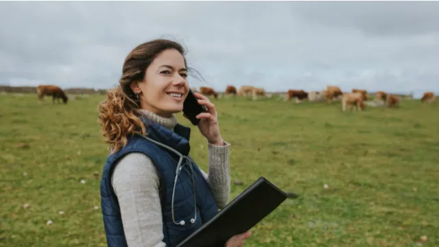 Telefónica compra a Asterion la plataforma de backhauling rural LineoX para reforzar su red de radioenlaces