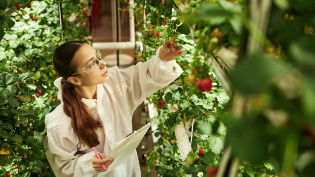 Eatable Adventures lanza Raíces para cerrar la brecha de inversión en startups hispanohablantes