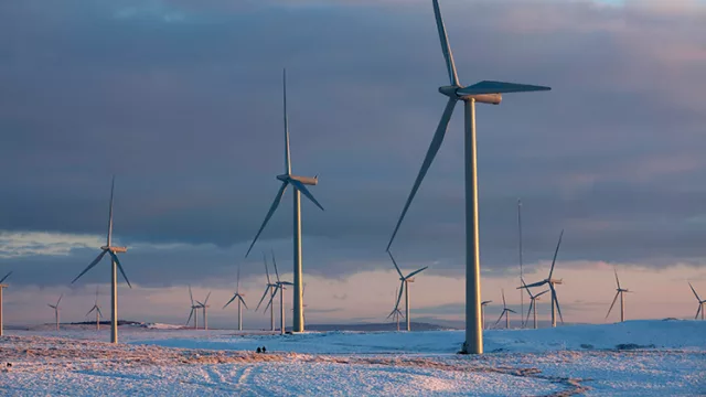 Iberdrola planea repotenciar Whitelee para duplicar capacidad eólica con una inversión de 1.800 millones de euros