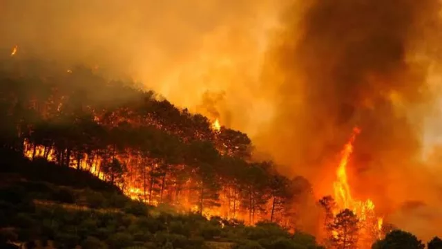 Klépierre destina 50.000 euros a Cruz Roja para apoyar el operativo contra los incendios