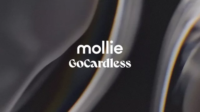 Mollie y GoCardless se alían para liderar el sector de los pagos y servicios financieros en Europa