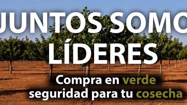 SABA Pistachios duplica su capacidad de procesado para la compra de pistacho en verde en España